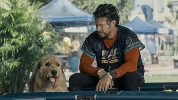 Mark Wahlberg findet einen Hund und freundet sich mit ihm an: „Arthur der Große“