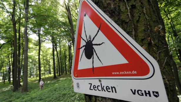 Ein Warnschild mit einer Zecke im Wald warnt vor Zeckenbefall.