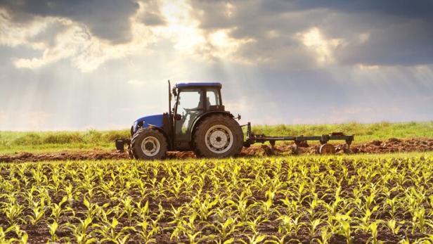 Heftige Debatte um EU-Agrarpolitik: Erleichterung für Bauern, Belastung für Umwelt