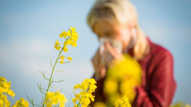 Von Falle bis KI-Automat: So werden Pollen in der Luft gemessen