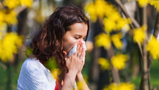 Pollenalarm im Osten Österreichs: Schwere Zeiten für Allergiker