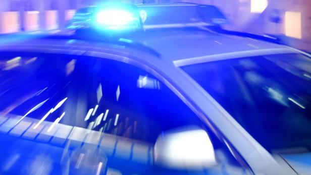 Polizeieinsatz wegen Plüschchlange in Deutschland