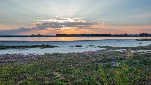 Nationalpark Neusiedler See 