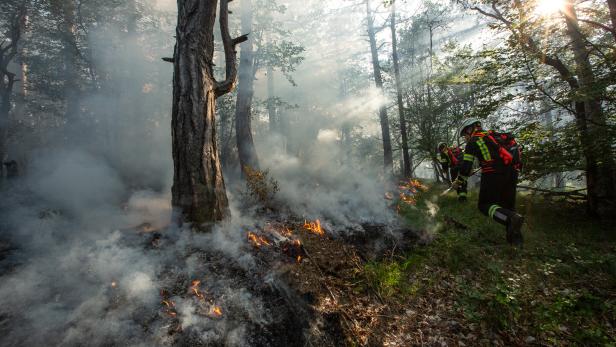 Kampf gegen Waldbrand im Bezirk Mödling mit Hubschraubern