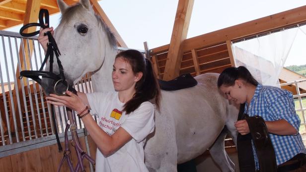 Die Zweige Pferdewirtschaft und Landwirtschaft in Güssing besuchen Schüler aus ganz Ostösterreich