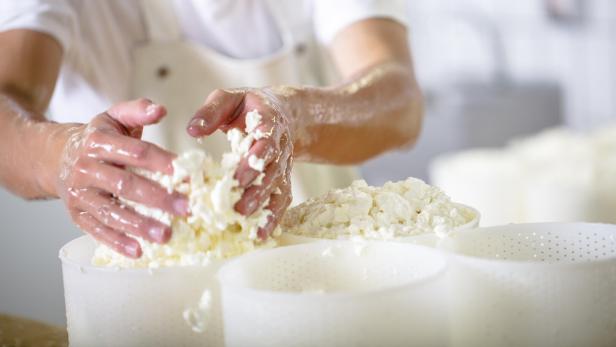 Käse selber machen