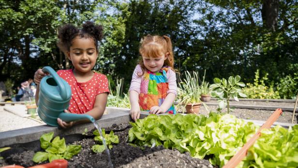 Zwei Mädchen kümmern sich um Salatpflanzen in einem Beet.