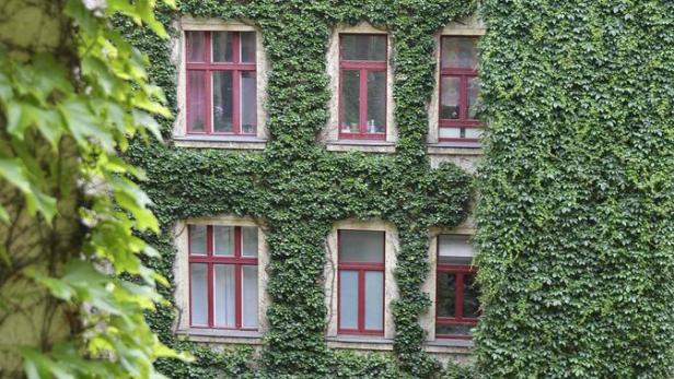 Klimaförderung: 500.000 Euro pro Jahr für grüne Fassaden