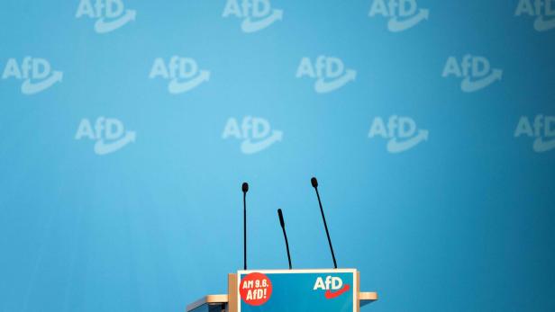 AfD aus Fraktion ID im EU-Parlament ausgeschlossen