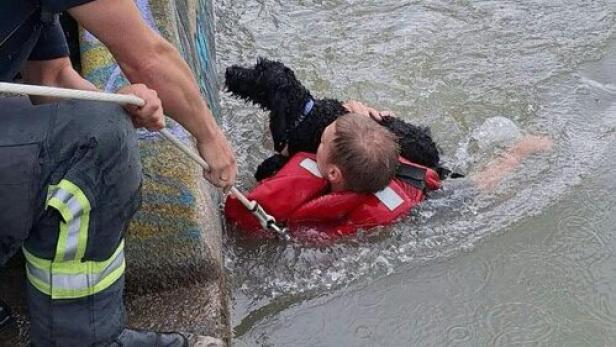 Feuerwehrmann rettet Hund aus Wiener Donaukanal