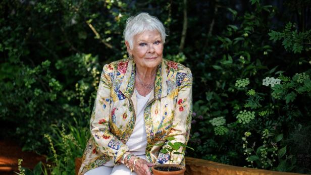 Judi Dench