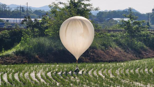 Nordkorea schickt Ballons mit Säcken voller Kot nach Südkorea
