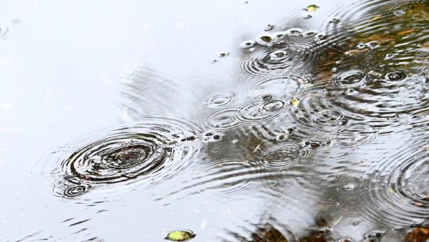 Symbolbild: Regentropfen erzeugen konzentrische Kreise auf einer ruhigen Wasseroberfläche.
