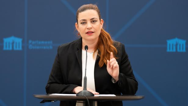 ÖVP-Funktionär ist Soko-Chef im Kriminalfall Signa: Grüne fordern Rückzug