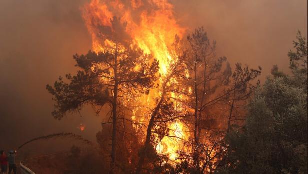 Hitzewelle: Bereits erste Waldbrände in der Türkei