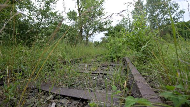 Alter Verschiebebahnhof Breitenlee: Wiens größtes Renaturierungsprojekt