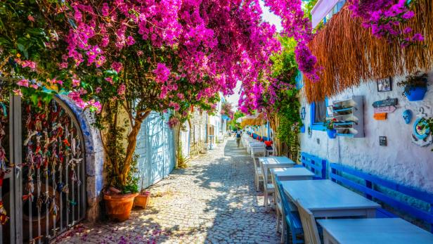 Eine malerische Gasse mit blühenden Bougainvillea-Bäumen und weiß-blauen Tischen und Bänken.