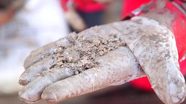 Bahnbrechende Entdeckung: Antike Krüge vor Israels Küste entdeckt