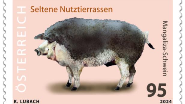 Abbildung der neuen Sonderbriefmarke &quot;Mangaliza-Schwein&quot;.