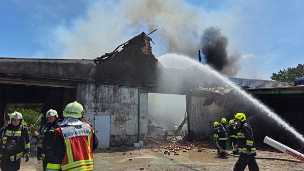 Über 200 Einsatzkräfte kämpften gegen Brand in Orth an der Donau