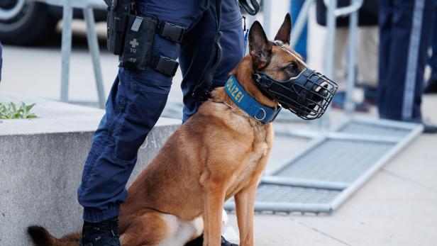 Auch Polizeihunde wurden zum Einsatz herangezogen