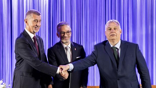 "Trägerrakete": Kickl verkündet Allianz mit Orbán und Babiš auf EU-Ebene