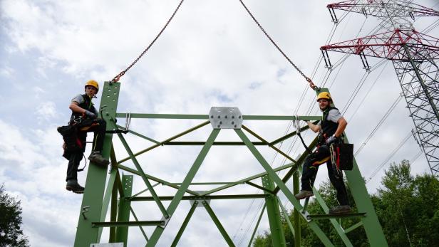 Neue 110-kV-Leitung unter den Fittichen der großen Schwester