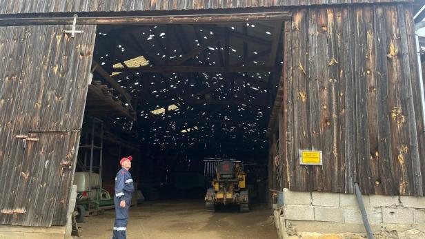 Hohe Hagelschäden im Waldviertel: "Es ist alles kaputt“