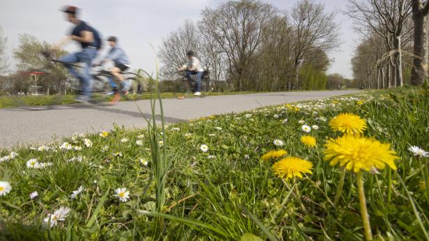 Prozess: Achtjährige auf Donauinsel missbraucht und dabei gefilmt