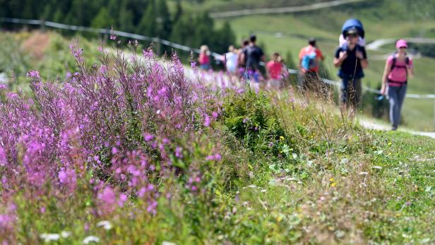 Bei Almrauschparty abgestürzt: Fünf verletzte Urlauber in Wagrain