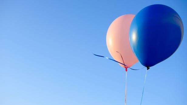 Gender Reveal Party: Paar sorgt mit Feuerwerk für Empörung