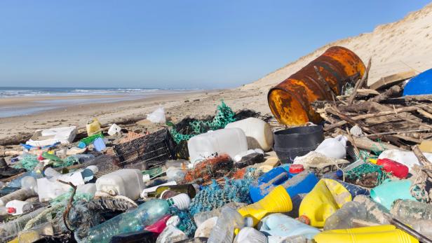 Meeresverschmutzung: "Es gibt fast nichts, das ich nicht gefunden habe"