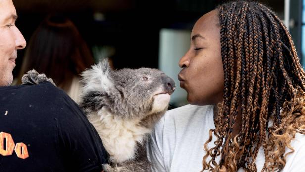 Die US-amerikanische Tennisspielerin Coco Gauff posierte während der Australian Open in Melbourne mit einem Koala