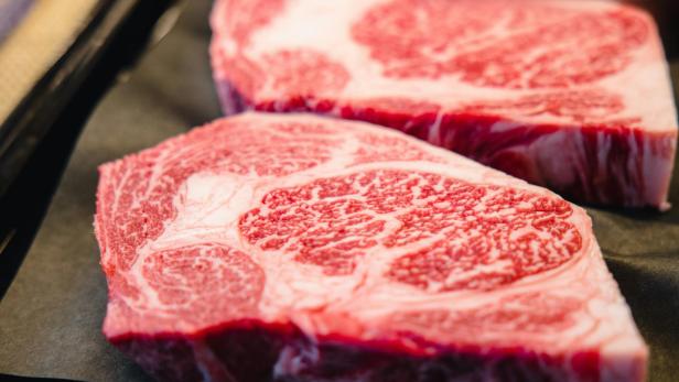 Rekordfund: Tonnenweise Kokain zwischen Rindfleisch versteckt