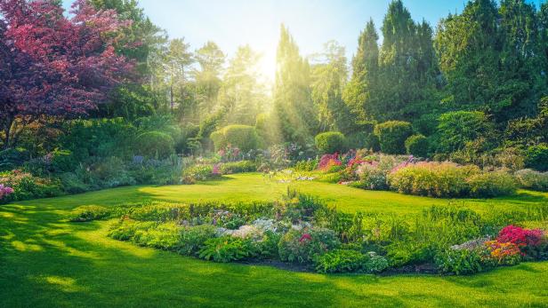 Ein gepflegter Garten mit blühenden Blumen und Bäumen im Sonnenlicht.