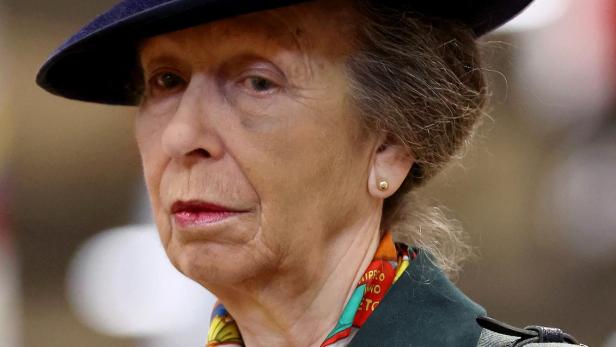 The Princess Royal Attends The RDA National Championships