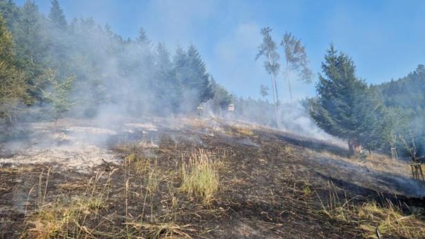 Waldbrand bei Forchtenstein: 19 Feuerwehren im Einsatz