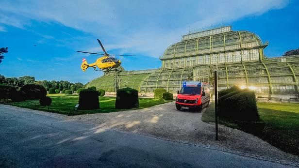 Tiergarten Schönbrunn: Zweijähriger nach Sturz in kritischem Zustand