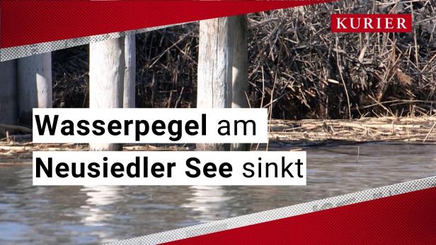 Neusiedler See: Hitze lässt Wasserpegel erneut sinken