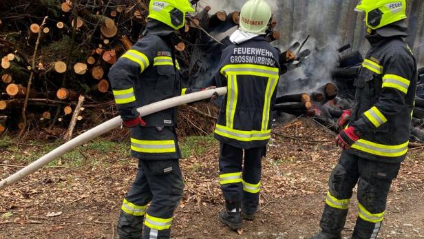 Waldbrand in Niederösterreich: 60 Feuerwehrleute im Einsatz