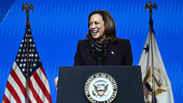 US-Wahl: So will Kamala Harris die US-Wirtschaft retten