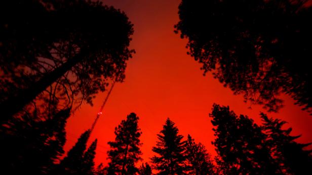 Kalifornien: Waldbrand durch brennendes Auto absichtlich ausgelöst