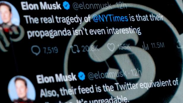 Elon Musks Pro-Trump-Propaganda: Vielleicht kann man eine Wahl doch kaufen