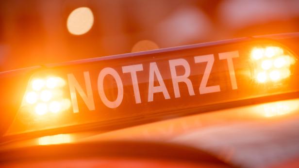 Mädchen wurde nach Hundebiss vom Notarzt versorgt Mädchen wurde nach Hundebiss vom Notarzt versorgt