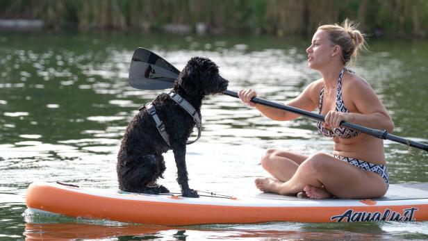 Frau mit Hund auf Stand Up Paddle