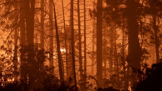 Die Waldbrände in Kalifornien breiten sich weiter aus