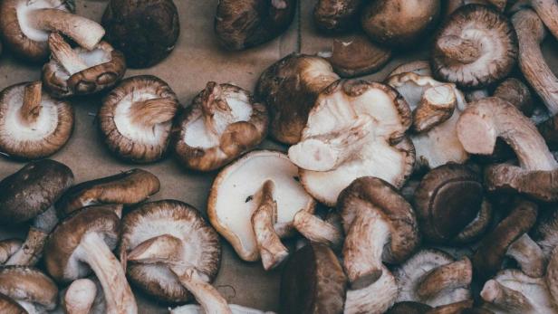 shiitake