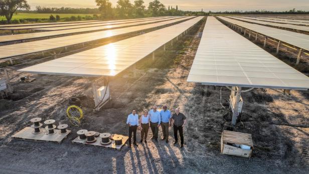 Agri-PV-Park: Gemüse und Sonnenstrom auf 200 Fußballfeldern