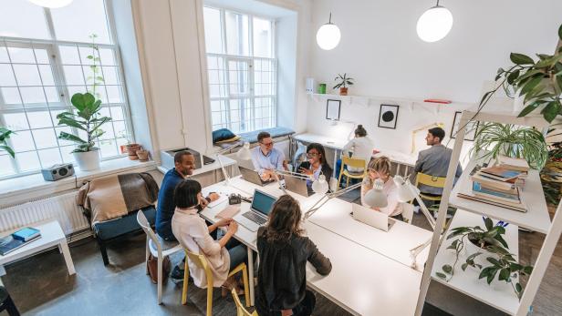 Modern business office with multi-ethnic team