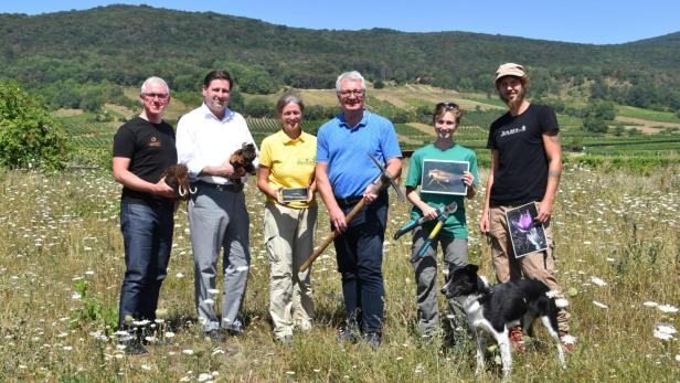 Projektpartner der Wiederherstellung von Trockenrasen in der Thermenlinie: (v.l.n.r.): Andreas Weiß(Biosphärenpark Wienerwald Management), Bürgermeister Stefan Szirucsek (Baden), Irene Drozdowski(Obfrau Landschaftspflegeverein), Bürgermeister Christoph Kainz (Pfaffstätten), Hannah Streinesberger(P.U.L.S. Pressepraktikantin Alpenverein) und Stefan Knöpfer (Obmann Verein Hirtenkultur)